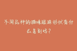 不同品种的猫咪眼珠形状有什么差别吗?