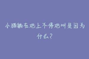 小猫躺在地上不停地叫是因为什么?