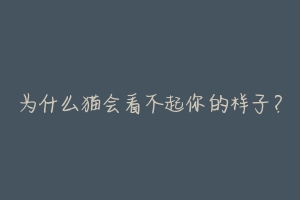 为什么猫会看不起你的样子?
