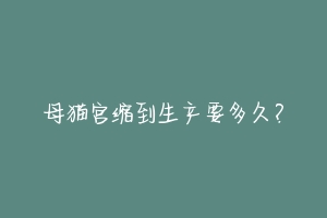 母猫宫缩到生产要多久?