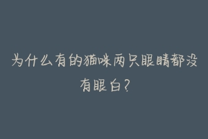 为什么有的猫咪两只眼睛都没有眼白?
