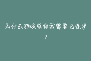 为什么猫咪觉得我需要它保护?