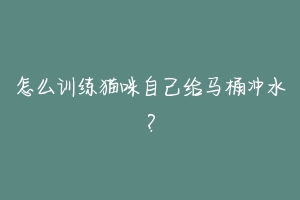 怎么训练猫咪自己给马桶冲水?