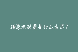 猫原地转圈是什么意思?