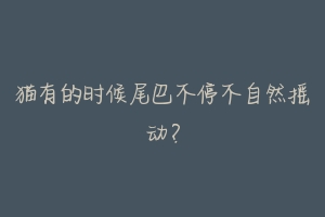 猫有的时候尾巴不停不自然摇动?