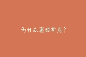 为什么黑猫折尾?