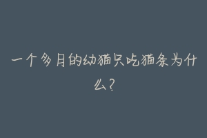 一个多月的幼猫只吃猫条为什么?