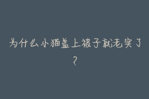 为什么小猫盖上被子就老实了?