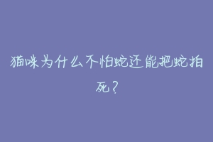 猫咪为什么不怕蛇还能把蛇拍死?