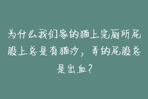 为什么我们家的猫上完厕所屁股上总是有猫沙,弄的屁股总是出血?