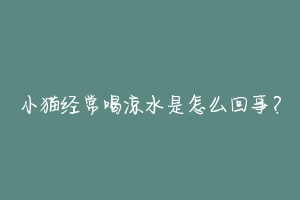 小猫经常喝凉水是怎么回事?