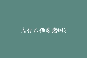 为什么猫爱蹭树?