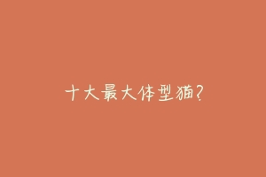 十大最大体型猫?