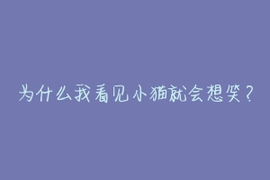 为什么我看见小猫就会想笑?
