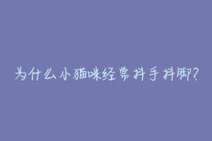 为什么小猫咪经常抖手抖脚?