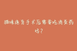 猫咪绝育手术后需要吃消炎药吗?