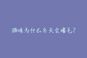 猫咪为什么冬天会爆毛?