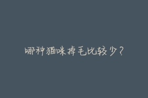 哪种猫咪掉毛比较少?