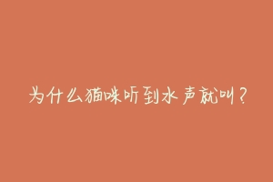 为什么猫咪听到水声就叫?