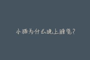 小猫为什么晚上睡觉?