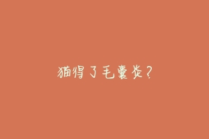 猫得了毛囊炎?