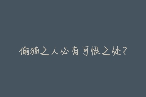 偷猫之人必有可恨之处?