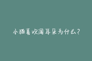 小猫喜欢闻耳朵为什么?