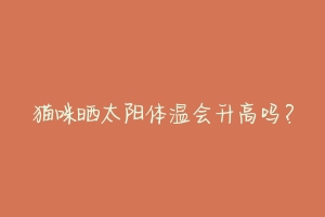 猫咪晒太阳体温会升高吗?