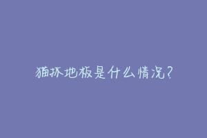 猫抓地板是什么情况?