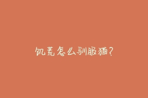 饥荒怎么驯服猫?
