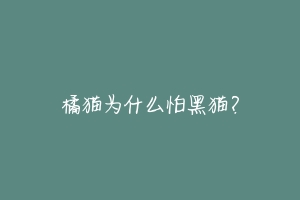 橘猫为什么怕黑猫?