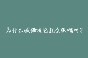 为什么喊猫咪它就会张嘴叫?