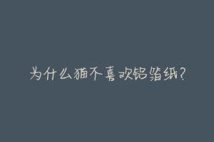 为什么猫不喜欢铝箔纸?