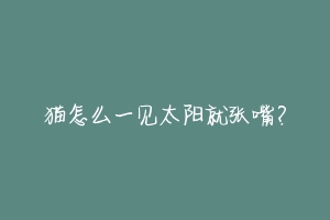 猫怎么一见太阳就张嘴？