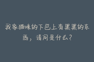 我家猫咪的下巴上有黑黑的东西,请问是什么?