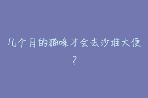 几个月的猫咪才会去沙堆大便?