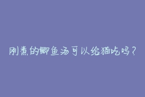 刚煮的鲫鱼汤可以给猫吃吗?