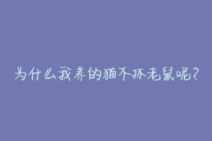 为什么我养的猫不抓老鼠呢?