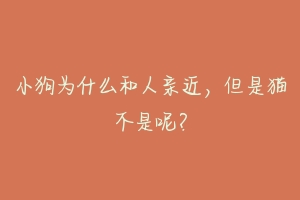 小狗为什么和人亲近,但是猫不是呢?