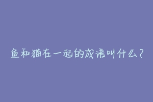 鱼和猫在一起的成语叫什么？