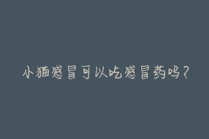 小猫感冒可以吃感冒药吗?