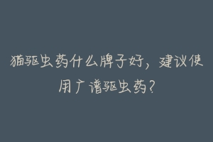 猫驱虫药什么牌子好,建议使用广谱驱虫药?