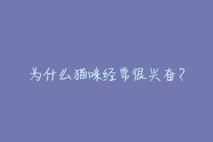 为什么猫咪经常很兴奋?