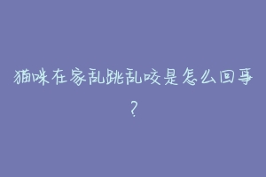 猫咪在家乱跳乱咬是怎么回事?