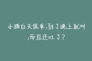 小猫白天很乖,到了晚上就叫,而且还吐了?