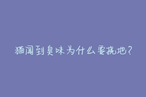 猫闻到臭味为什么要挠地?