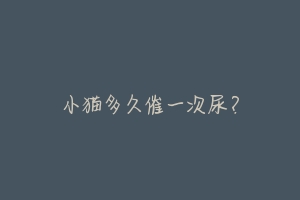 小猫多久催一次尿?