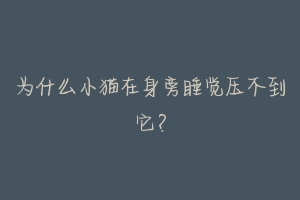 为什么小猫在身旁睡觉压不到它?