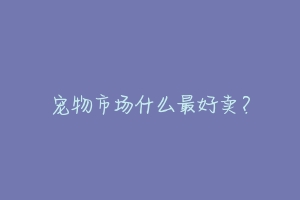 宠物市场什么最好卖?