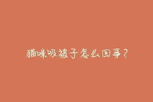 猫咪吸被子怎么回事?